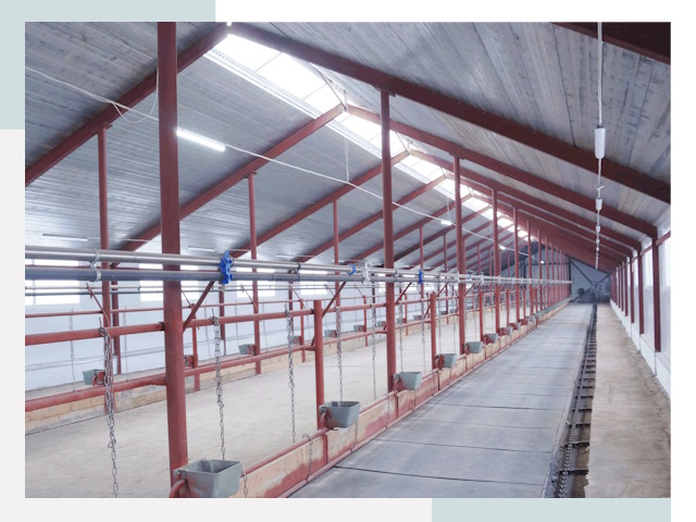 Строительство коровников в Йошкар-Оле от 614 руб.