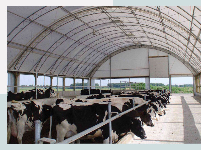 Тентовые коровники в Йошкар-Оле